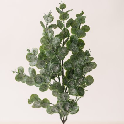 ce54807b b43e 4e17 bc97 334f3fba4bd2