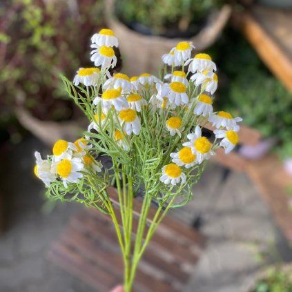 786f3dc0 5f3d 47eb 945c 6ba4d3b62c9a