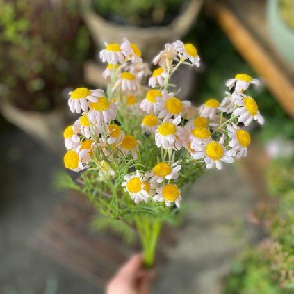 c461e93b cb62 4ac9 afff 24d14cc8c348