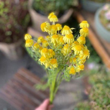 8c9a1d74 2aad 49e9 983a 10f48765e05c