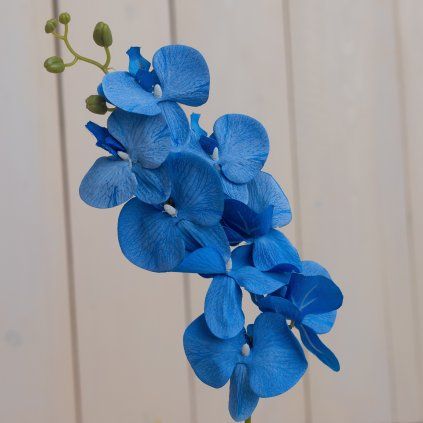 d6ed9526 14dd 4eaf a4aa 9fb8636aca2c