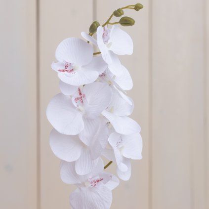 f6e20e4e 8229 425f 974a 7b7146611e96