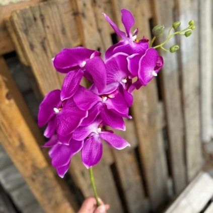 d47d6a79 1a8b 4ae8 bc99 997c09cfcc66