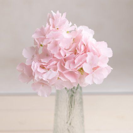 c9db35b4 d501 44e5 ace3 c5f1e2a99dd9