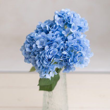 161aa903 0d1e 406e 8b1f 73bb52c3a10c