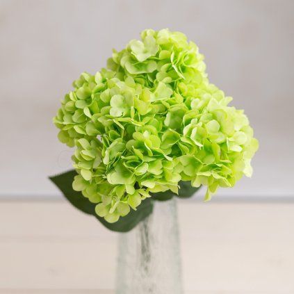 3c2deff8 9ac5 4dd1 a09e 097df10e7c82