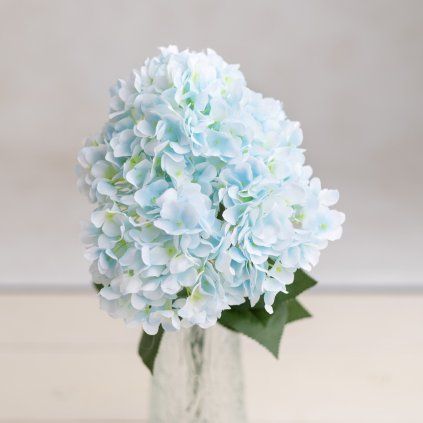 e4a075f1 cfc3 4e48 9ffa 89d066d775ea