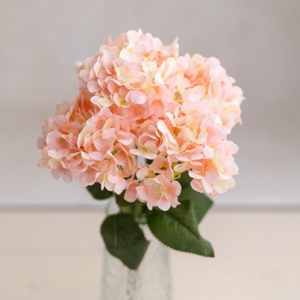 12d4755d cc57 4efd ba99 5477c2aa9c74