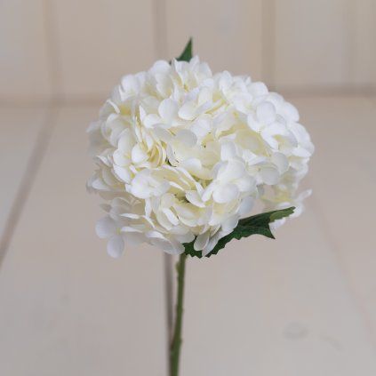 74bada65 eac1 4142 9444 58e52bf0c3bc