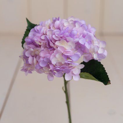 db35617c 757e 456f bd4c 0c7a9ec04570