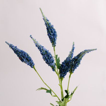 2aa9ceb3 eccd 49a4 8b82 233cfc702389