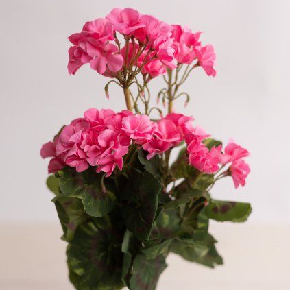 2e2b49d8 e41f 4dab b7e3 8d3dcc11d353