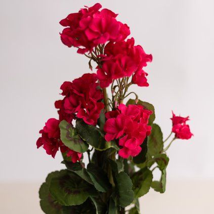 27f76647 a602 4f1f b0d1 8b81eeb2dd9c