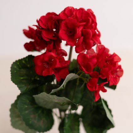 1ef3cd60 8be5 41ca a63d 69dc7645c864