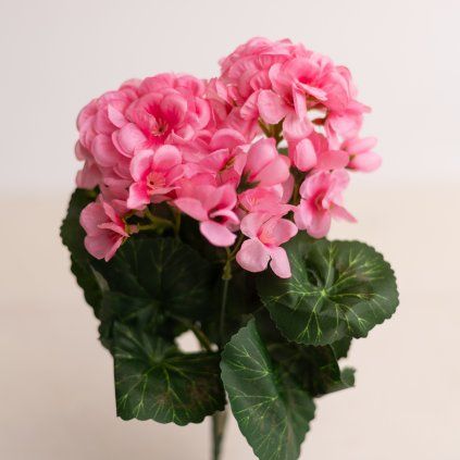 fd42505b 7d47 4be5 9478 8bcc0e8aca55