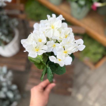 1f9f2c48 70f8 4bd7 8667 710dbfe36ae0