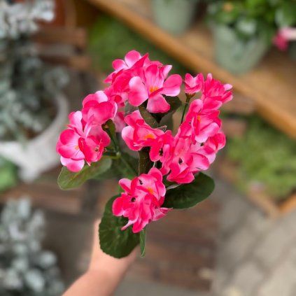 f13c4d6d cdfe 4f1b 9fab 16e54210085a