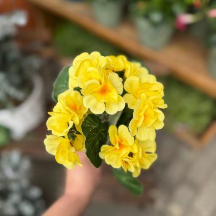 4aeadf59 67a5 4f03 a07b 4cd323928f8b