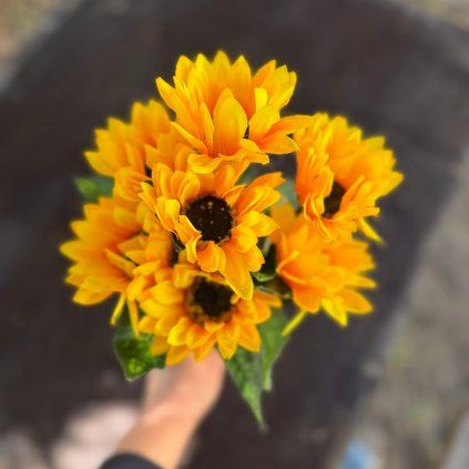 122aeaf9 fe89 4c4f 9373 cda8bae683b9