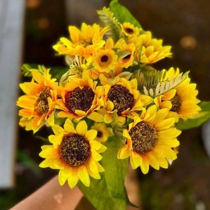 0a4ee63b c2de 4c38 93ff 00e0485ad615