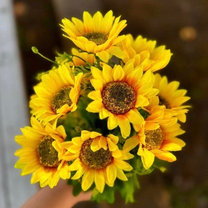 e4fb5311 a576 44b8 be2e d8623711f7cf