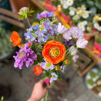 32cd8c70 655d 4d00 87ac fb86bfe7f30b