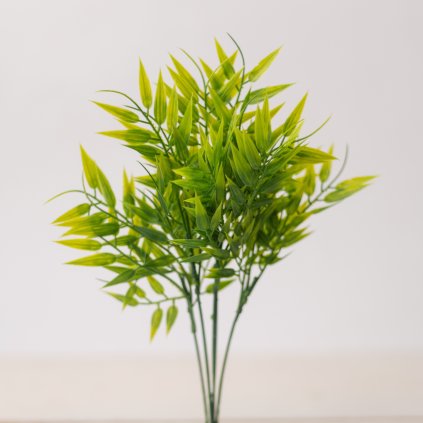 2fdfa5bc a00c 43ea af85 704f958d9cb9