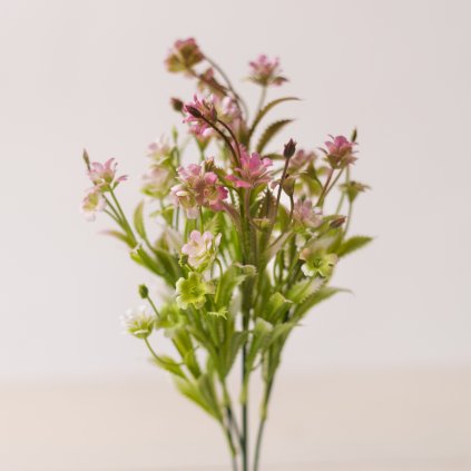 11afe3f7 6f0a 45ce b74d 6ec8685fddb1