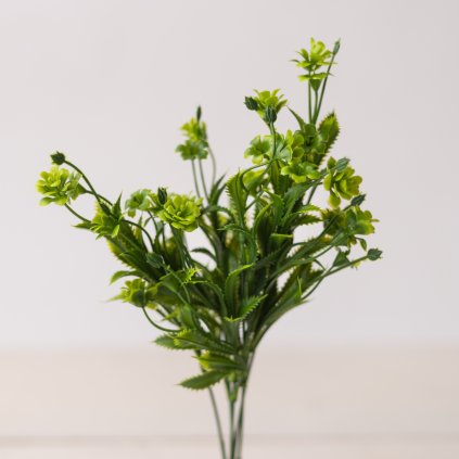 f55a9087 b6ca 4937 bab2 0813b8739f00