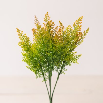 e25c9dbb 7439 4abb 87ac a34202aaad1b