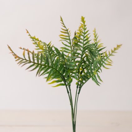 9ff58c5a 65f3 456d 969a 44fc22893a85