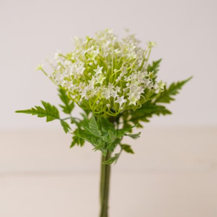 a8cfed14 281a 40dd b263 93da344247e2