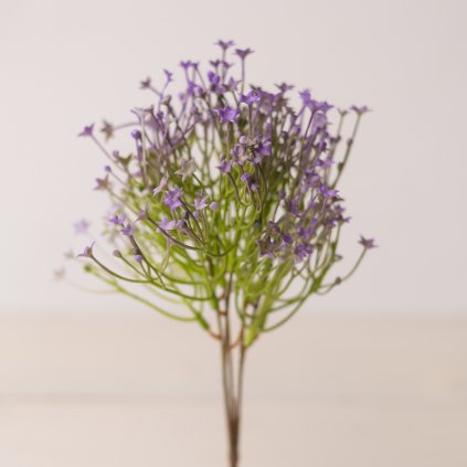 8b3605af 8dc2 42dc a928 d28f418af145