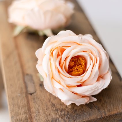 2c02f9dd cce4 47e7 b00f fc401a493e9b