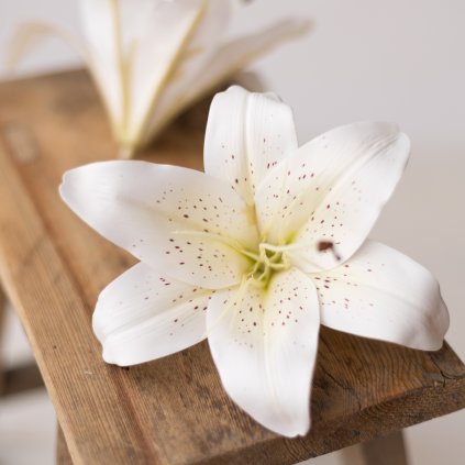 f7644e45 3252 4d03 9ba5 f82062910fe6