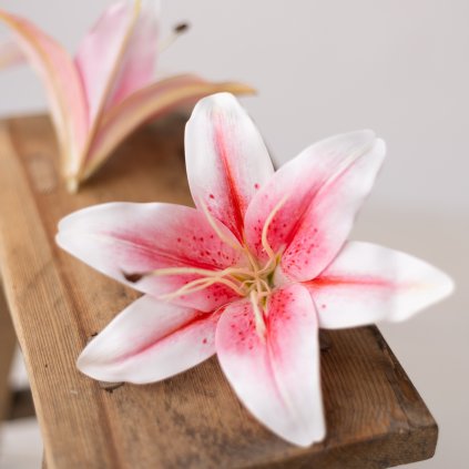 3172367d fa43 443f 9324 d2b9f3fb1381