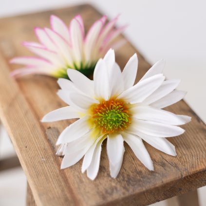 c68d2429 8aea 4b39 ad6e 024ff31f1174