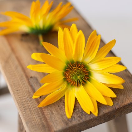 09d2347c 4111 435c 8e47 575f851bc204