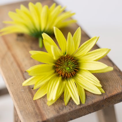 5aee2969 d57b 4fa7 aa32 97898dd2f1ed