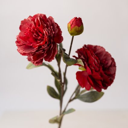 e4ef8137 9d9a 4b9c ae64 70f50e941df8