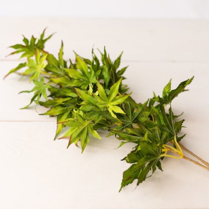 ea70db7e e542 4f1e bed7 f21ca1138e55