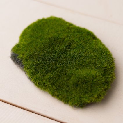 85a8e6c0 d53f 4dda 969a 56e23c961df4