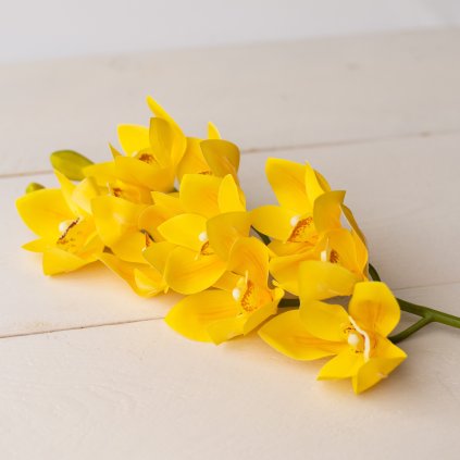 d2a552d0 95cd 48ce be70 2fb03cf9335e