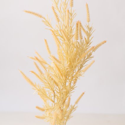 80b10503 534f 4f9b bc64 b15b33c86df1