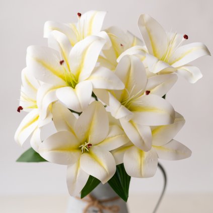 4ea5c69f cd6f 49f0 8a0c f0b6afe02d2d