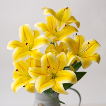 e2050302 af9b 4cc0 b943 56573e31fba6