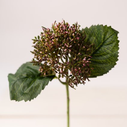 56f349f6 9a12 4f03 ba92 0d8b397136a4