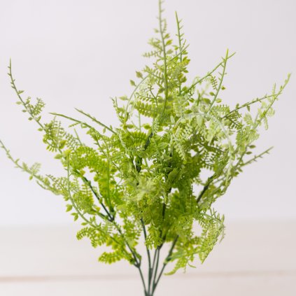 b7b36c6b c789 4fd3 b62a aa9115c4e4da