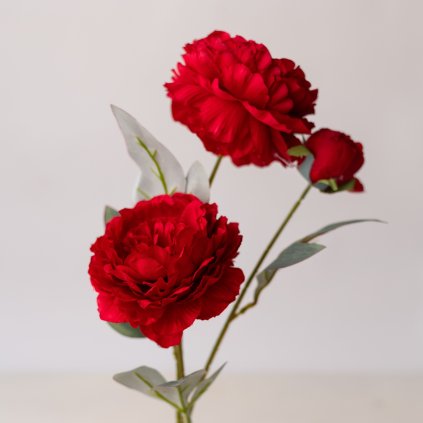 7598fece 4214 4f90 af1a 094b02a8d618