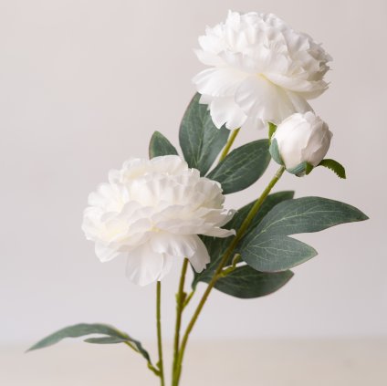 45fa7e5e 2472 46c2 b13f 59b1f83d1f61